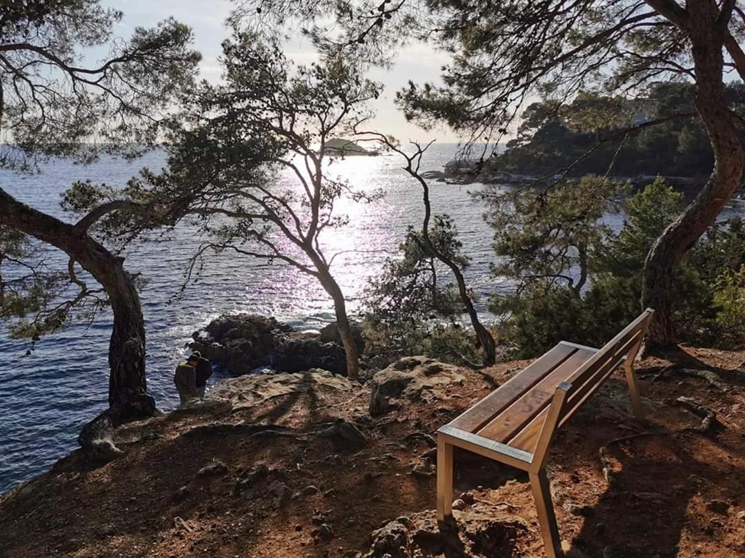 La Terrasse Bandolaise Tout A Pied, Wifi, Clim, Parking 외부 사진